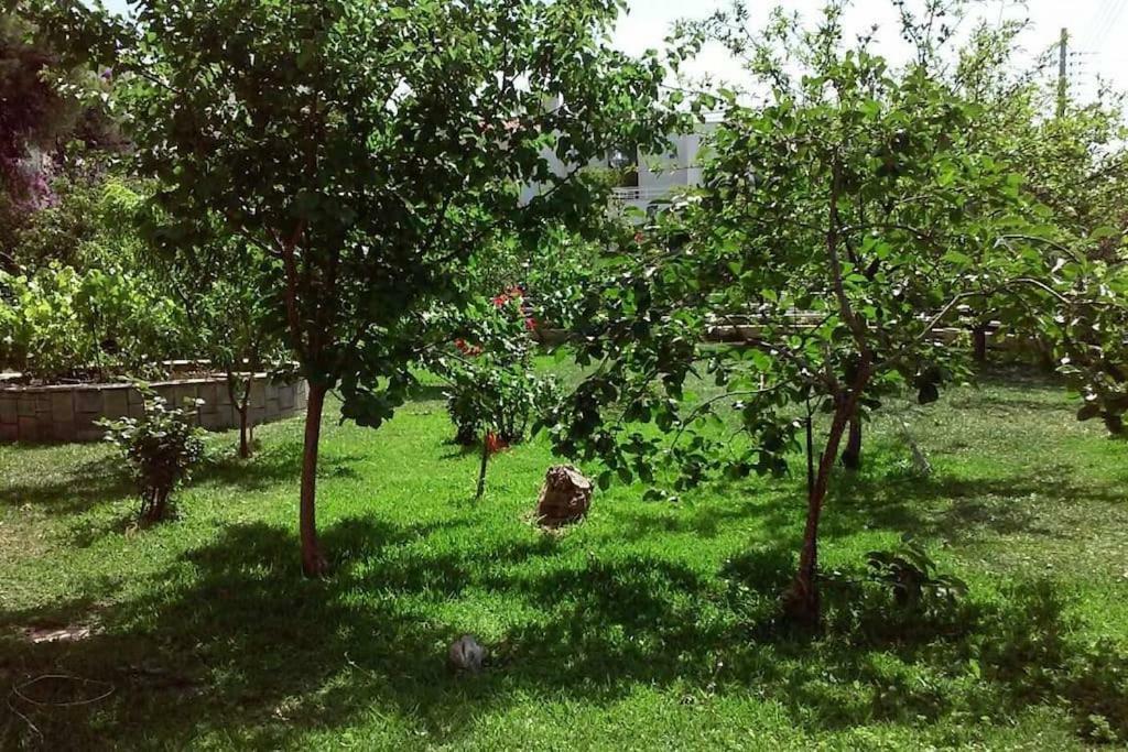 Sunny Garden Studio Ateny Zewnętrze zdjęcie
